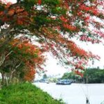 Cat and Jack Return Policy for In-Store Purchases: A Comprehensive Overview