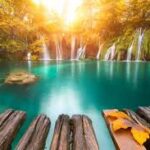 **Black and Red Hair for Women: Popular Styles and Styling Tips**