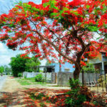 Returning Damaged or Defective Cat and Jack Products: A Guide to Hassle-Free Returns